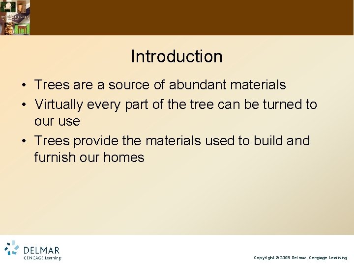 Introduction • Trees are a source of abundant materials • Virtually every part of