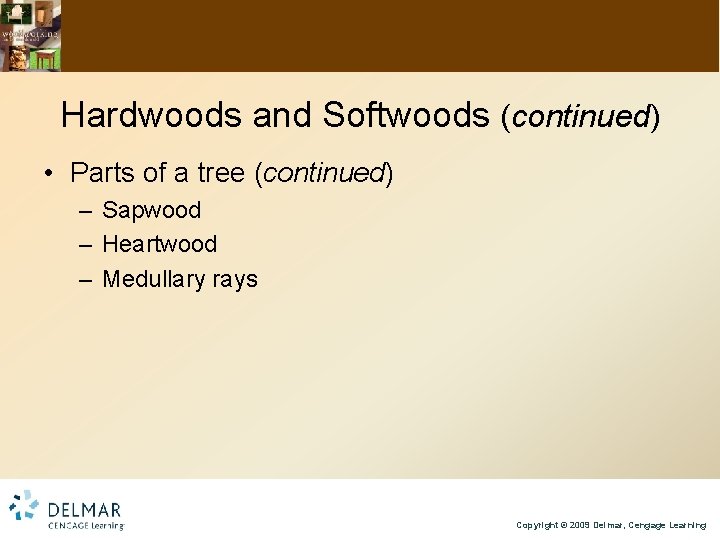 Hardwoods and Softwoods (continued) • Parts of a tree (continued) – Sapwood – Heartwood