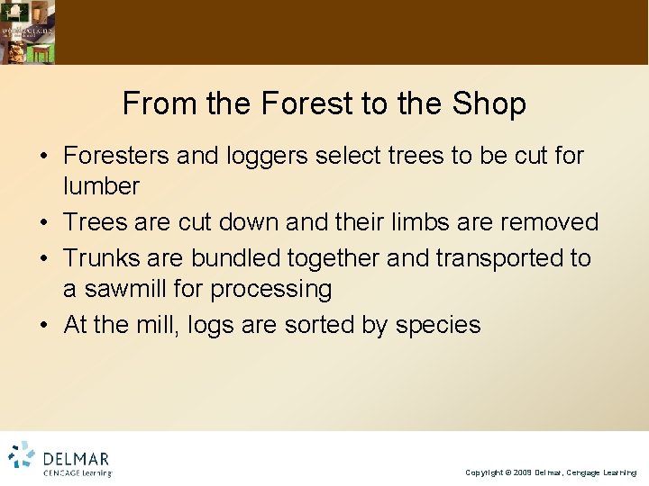 From the Forest to the Shop • Foresters and loggers select trees to be