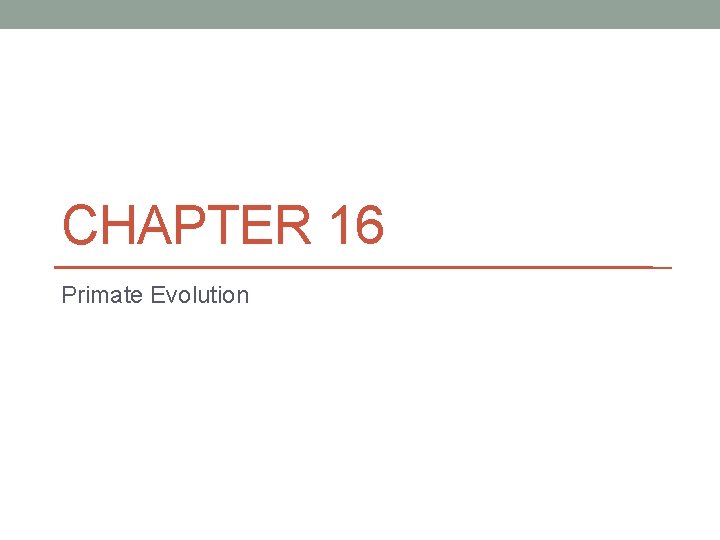 CHAPTER 16 Primate Evolution 