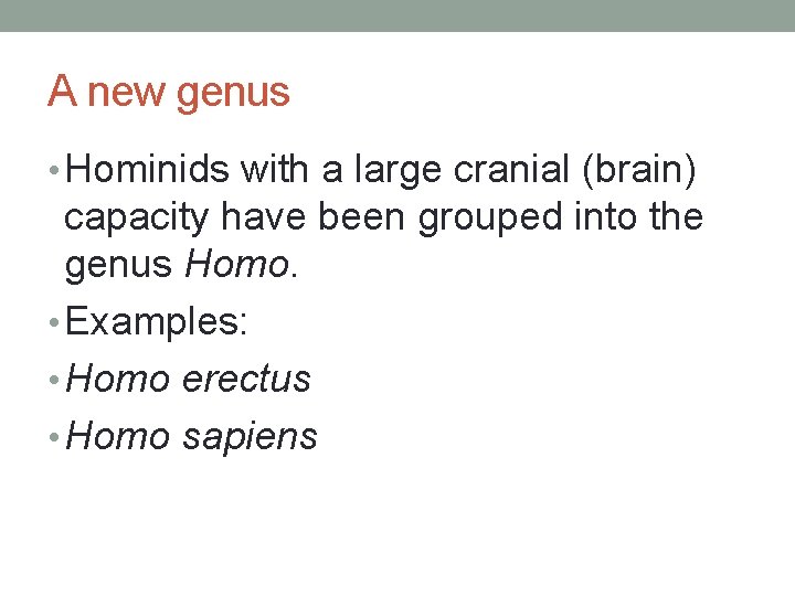 A new genus • Hominids with a large cranial (brain) capacity have been grouped