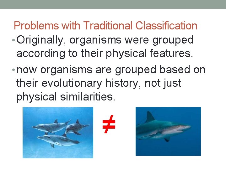 Problems with Traditional Classification • Originally, organisms were grouped according to their physical features.