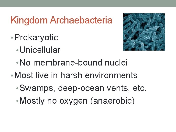 Kingdom Archaebacteria • Prokaryotic • Unicellular • No membrane-bound nuclei • Most live in
