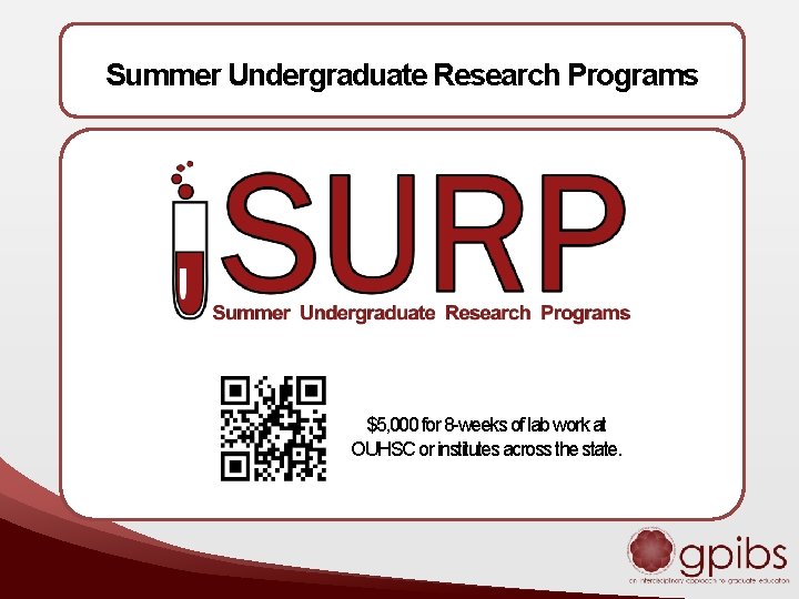 Summer Undergraduate Research Programs $5, 000 for 8 -weeks of lab work at OUHSC