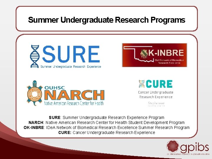 Summer Undergraduate Research Programs SURE: Summer Undergraduate Research Experience Program NARCH: Native American Research