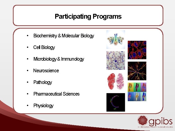 Participating Programs • Biochemistry & Molecular Biology • Cell Biology • Microbiology & Immunology