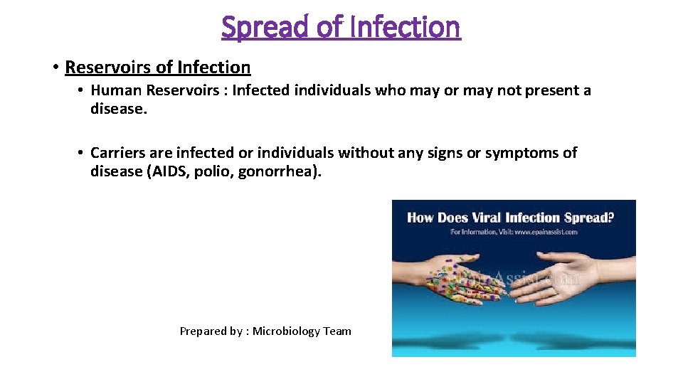 Spread of Infection • Reservoirs of Infection • Human Reservoirs : Infected individuals who