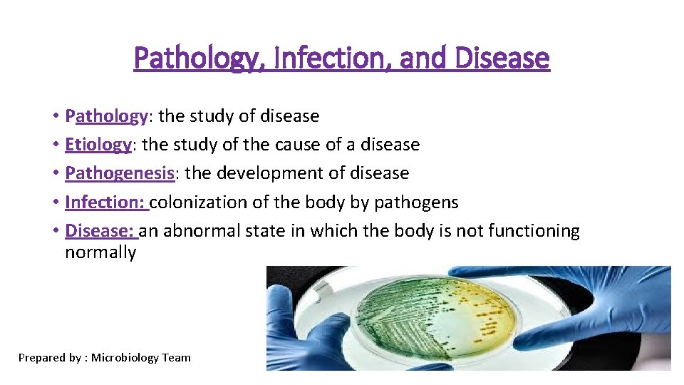 Pathology, Infection, and Disease • Pathology: the study of disease • Etiology: the study