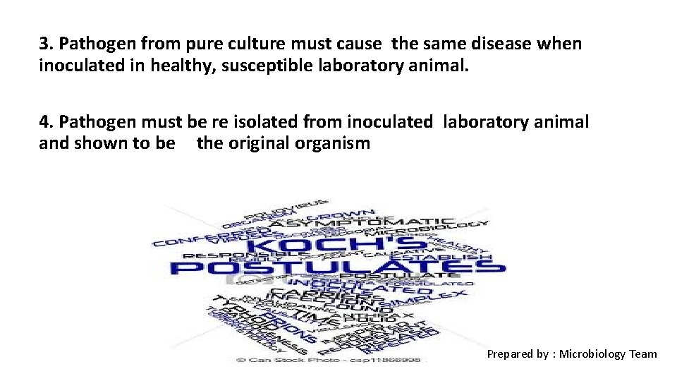 3. Pathogen from pure culture must cause the same disease when inoculated in healthy,