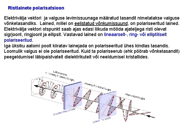 Ristlainete polarisatsioon Elektrivälja vektori ja valguse levimissuunaga määratud tasandit nimetatakse valguse võnketasandiks. Lained, millel