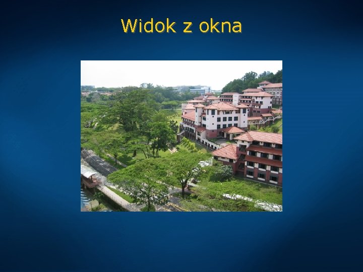 Widok z okna 