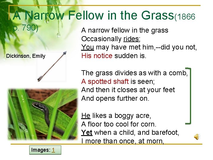 A Narrow Fellow in the Grass(1866 p. 790) Dickinson, Emily A narrow fellow in