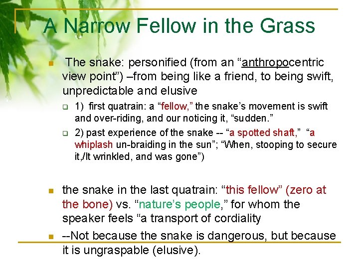 A Narrow Fellow in the Grass n The snake: personified (from an “anthropocentric view