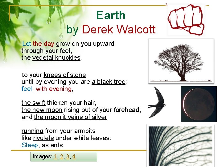 Earth by Derek Walcott Let the day grow on you upward through your feet,