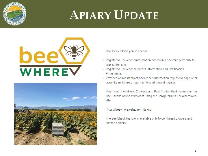 APIARY UPDATE 24 