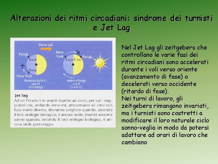 Alterazioni dei ritmi circadiani: sindrome dei turnisti e Jet Lag Nel Jet Lag gli