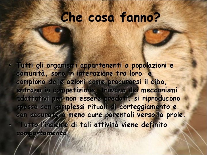 Che cosa fanno? • Tutti gli organismi appartenenti a popolazioni e comunità, sono in