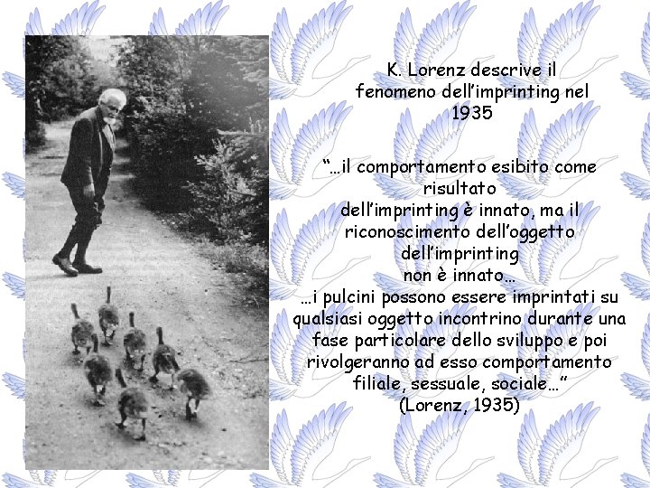 K. Lorenz descrive il fenomeno dell’imprinting nel 1935 “…il comportamento esibito come risultato dell’imprinting