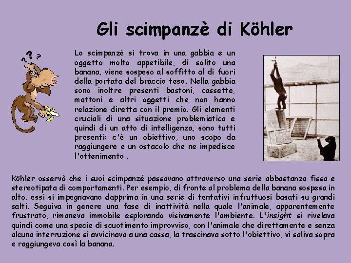 Gli scimpanzè di Köhler Lo scimpanzè si trova in una gabbia e un oggetto