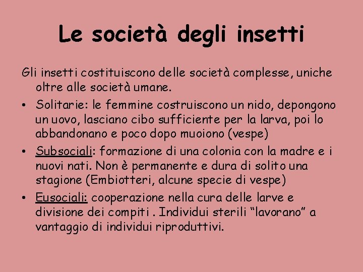 Le società degli insetti Gli insetti costituiscono delle società complesse, uniche oltre alle società