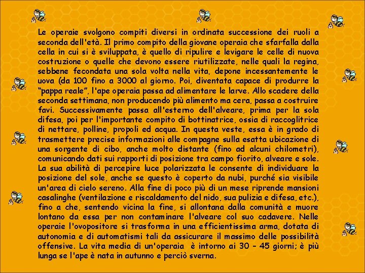 Le operaie svolgono compiti diversi in ordinata successione dei ruoli a seconda dell'età. Il