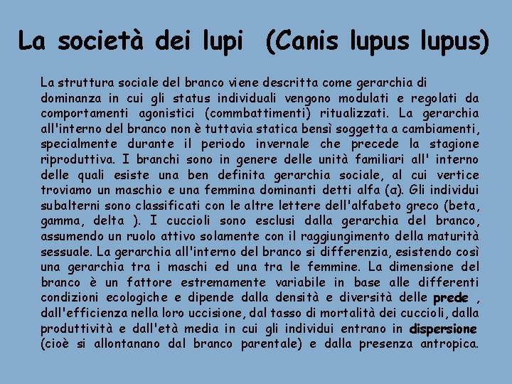 La società dei lupi (Canis lupus) La struttura sociale del branco viene descritta come