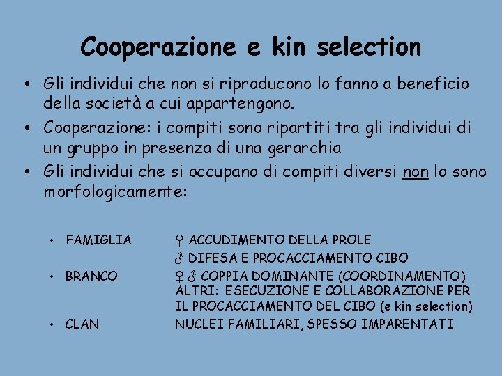Cooperazione e kin selection • Gli individui che non si riproducono lo fanno a