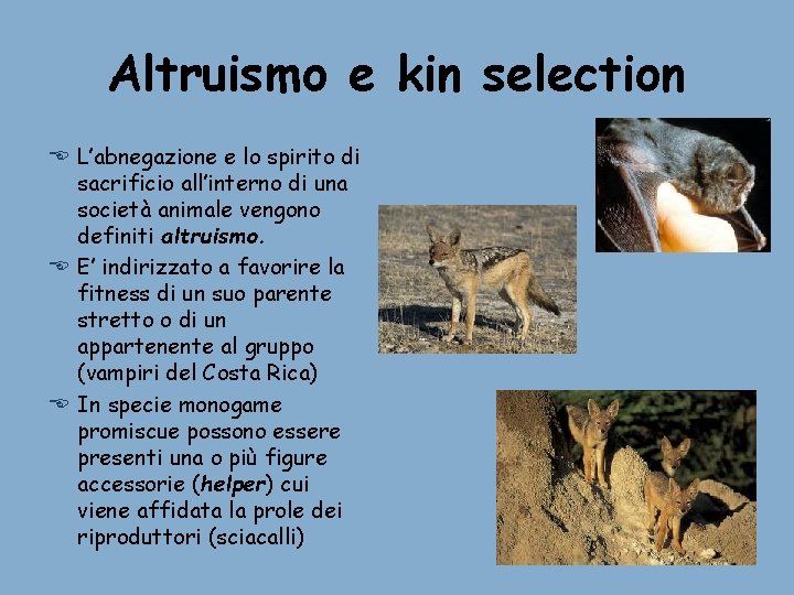 Altruismo e kin selection E L’abnegazione e lo spirito di sacrificio all’interno di una