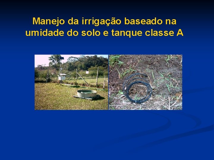 Manejo da irrigação baseado na umidade do solo e tanque classe A 