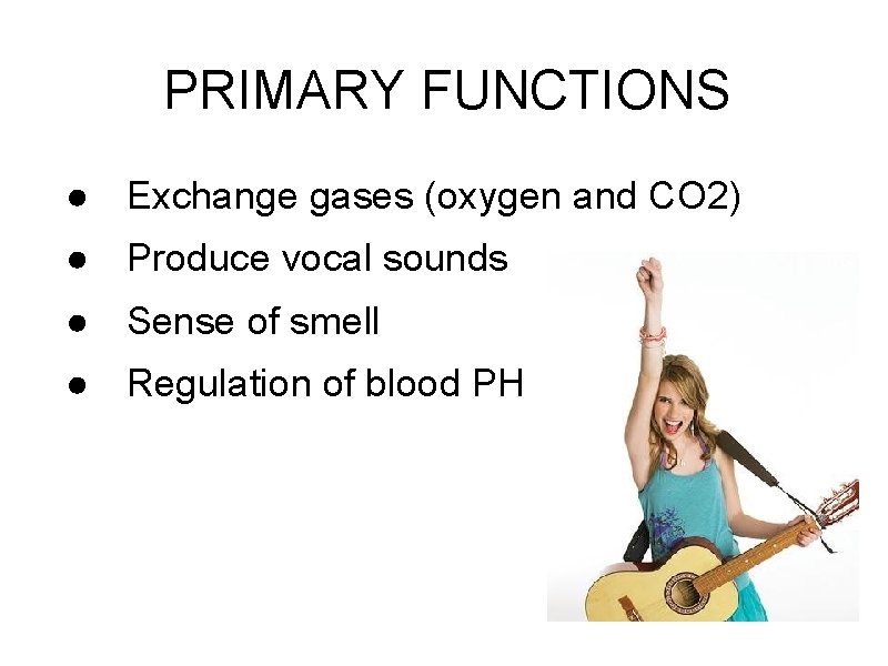PRIMARY FUNCTIONS ● Exchange gases (oxygen and CO 2) ● Produce vocal sounds ●