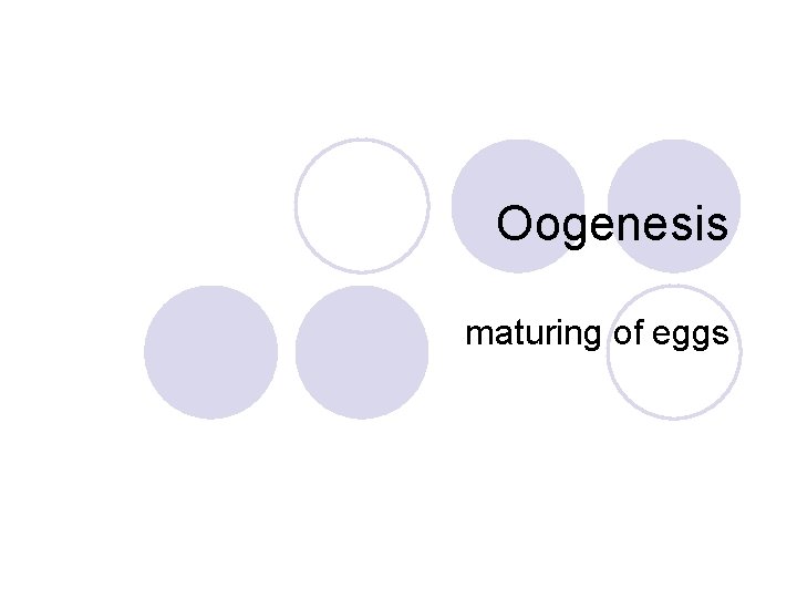 Oogenesis maturing of eggs 