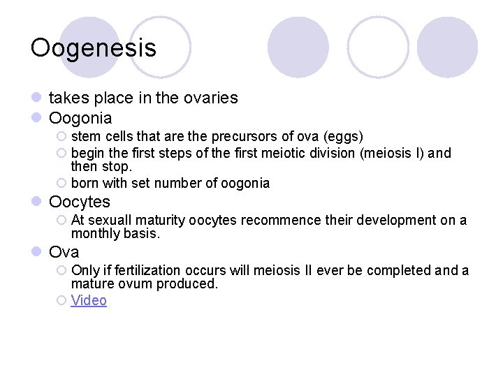 Oogenesis l takes place in the ovaries l Oogonia ¡ stem cells that are