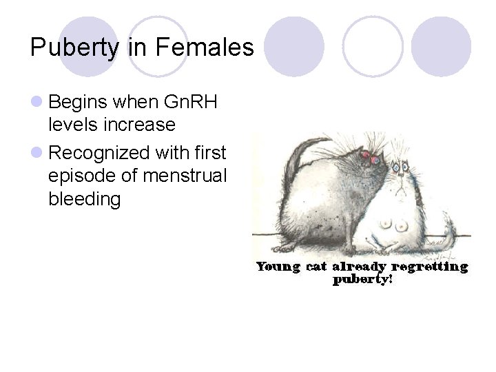 Puberty in Females l Begins when Gn. RH levels increase l Recognized with first