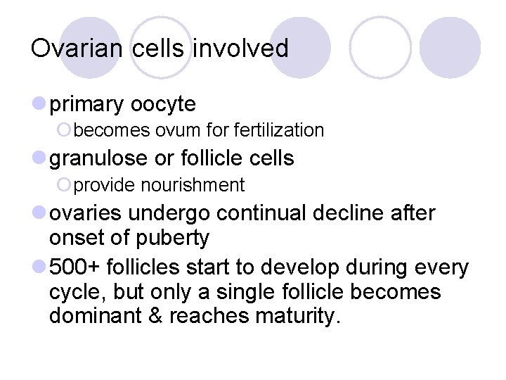 Ovarian cells involved l primary oocyte ¡becomes ovum for fertilization l granulose or follicle