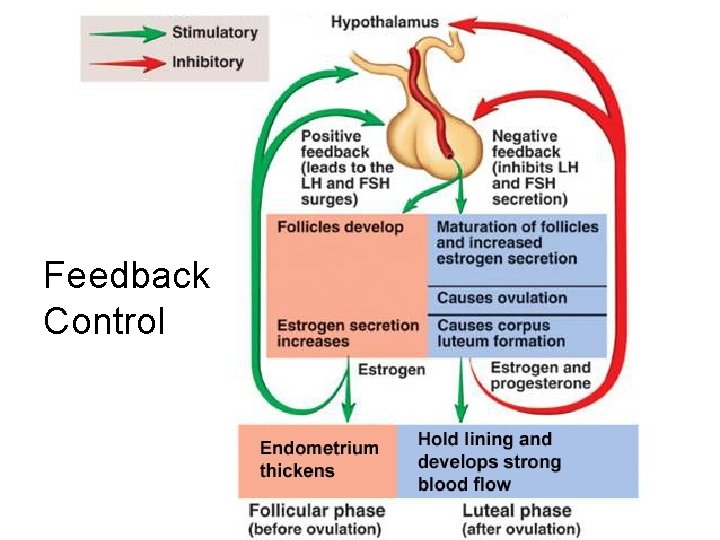 Feedback Control 