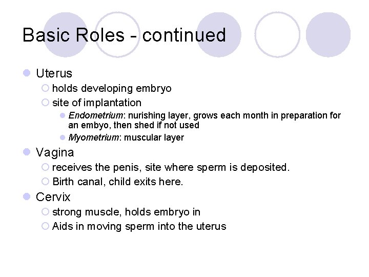 Basic Roles - continued l Uterus ¡ holds developing embryo ¡ site of implantation