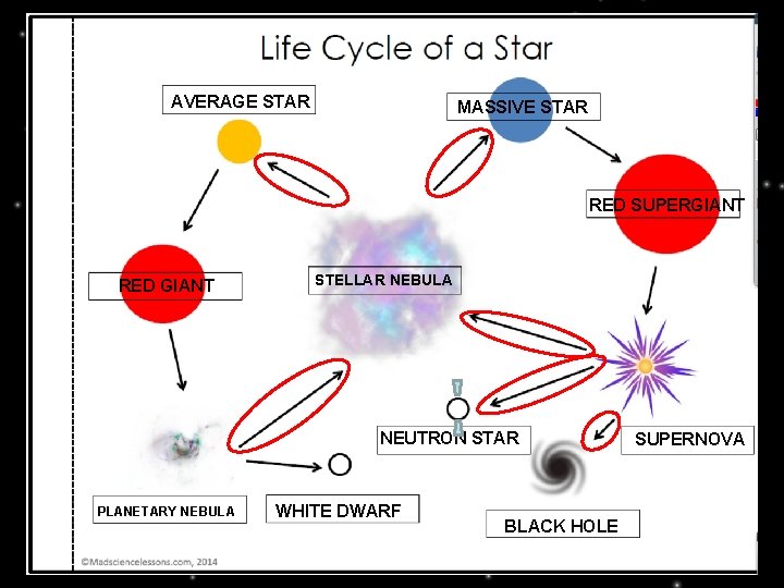 Life Cycle of Stars AVERAGE STAR MASSIVE STAR RED SUPERGIANT RED GIANT STELLAR NEBULA