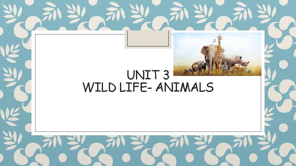 UNIT 3 WILD LIFE- ANIMALS 