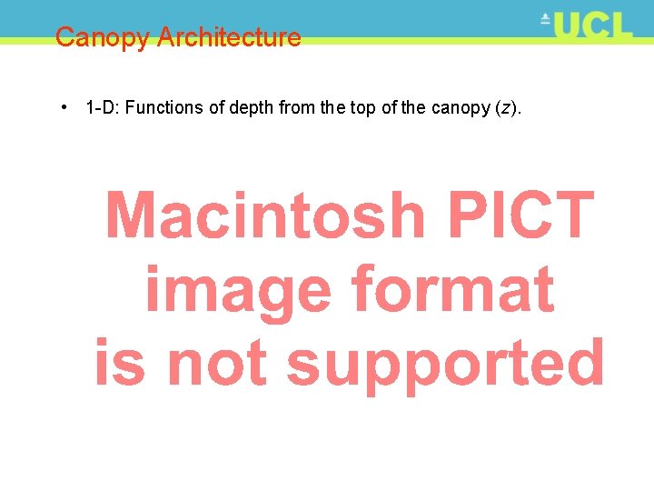 Canopy Architecture • 1 -D: Functions of depth from the top of the canopy