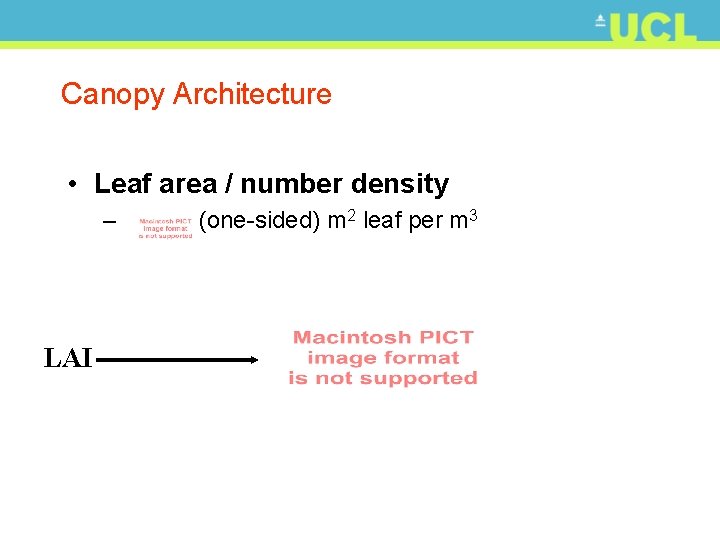 Canopy Architecture • Leaf area / number density – LAI (one-sided) m 2 leaf