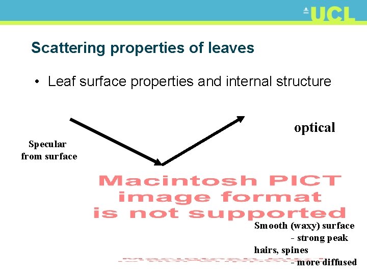 Scattering properties of leaves • Leaf surface properties and internal structure optical Specular from