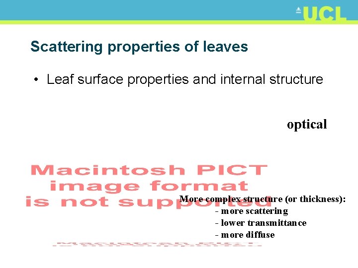 Scattering properties of leaves • Leaf surface properties and internal structure optical More complex