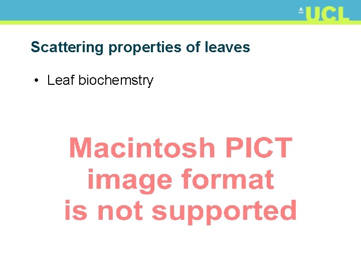 Scattering properties of leaves • Leaf biochemstry 