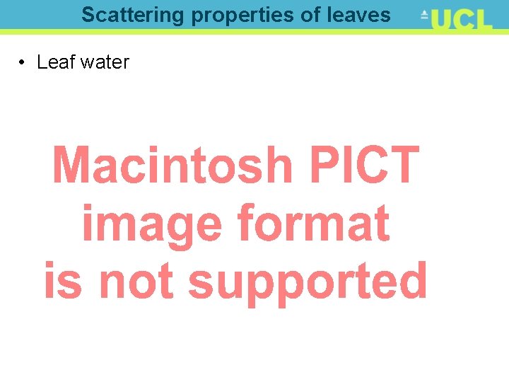 Scattering properties of leaves • Leaf water 