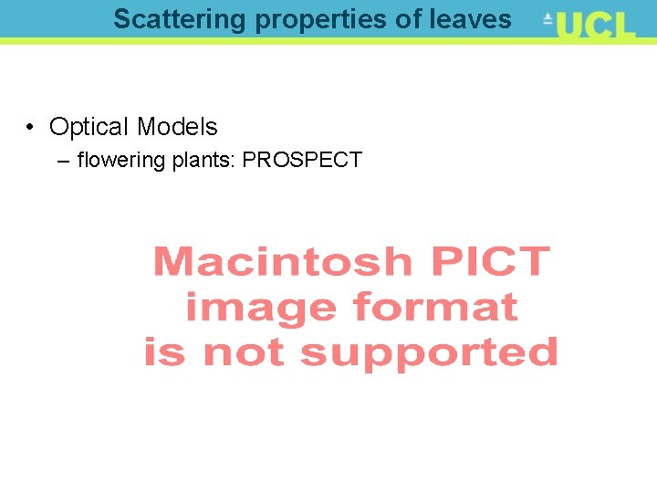 Scattering properties of leaves • Optical Models – flowering plants: PROSPECT 