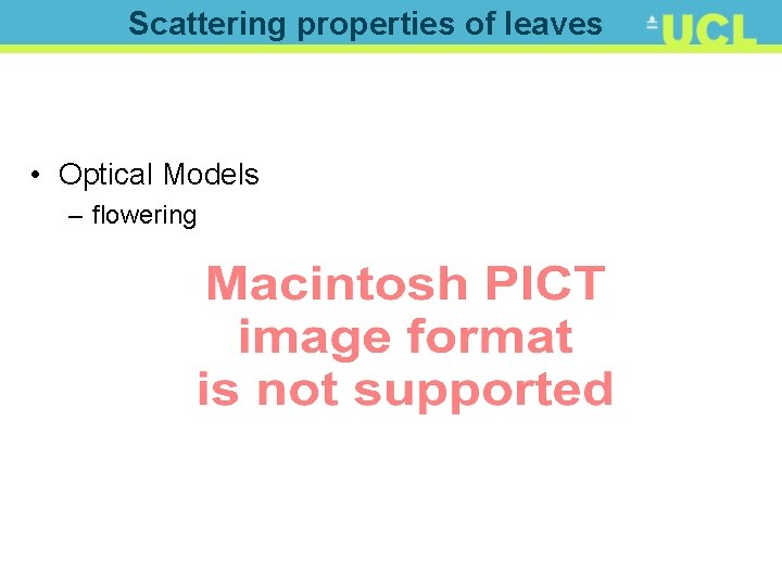 Scattering properties of leaves • Optical Models – flowering plants: PROSPECT 