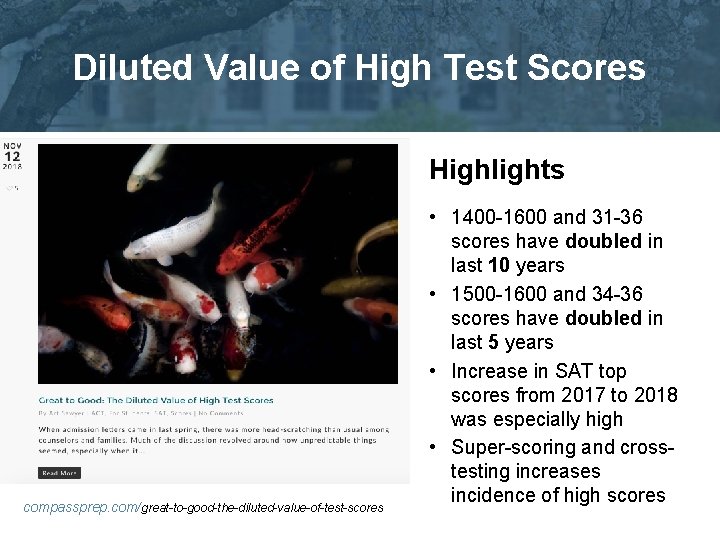 Diluted Value of High Test Scores Highlights compassprep. com/great-to-good-the-diluted-value-of-test-scores • 1400 -1600 and 31