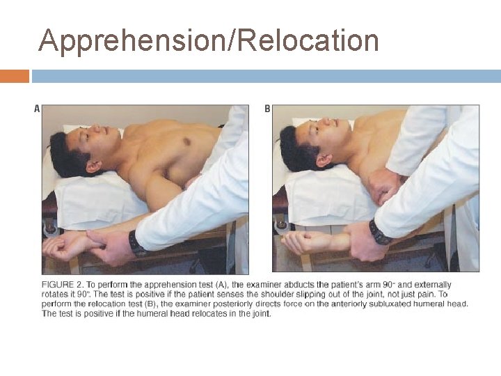 Apprehension/Relocation 