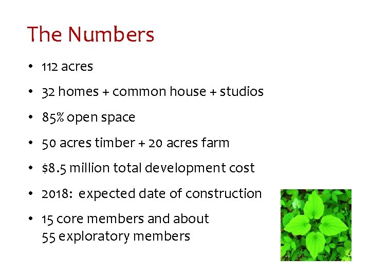 The Numbers • 112 acres • 32 homes + common house + studios •