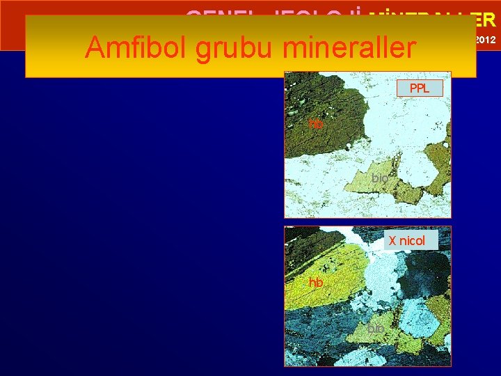  • GENEL JEOLOJİ-MİNERALLER Amfibol grubu mineraller Prof. Dr. Yaşar EREN-2012 PPL hb bio